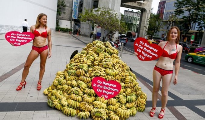 Скажем «Да!» бананам! (8 фото)