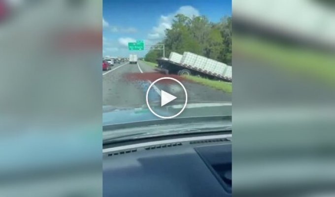 У США раки розповзлися по дорозі після ДТП