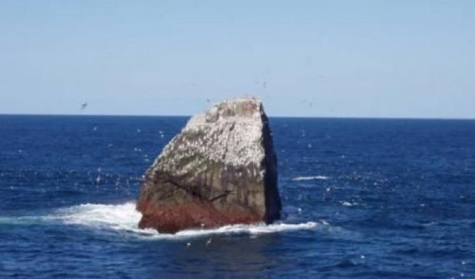 Роколл - камень в океане (6 фотографий)