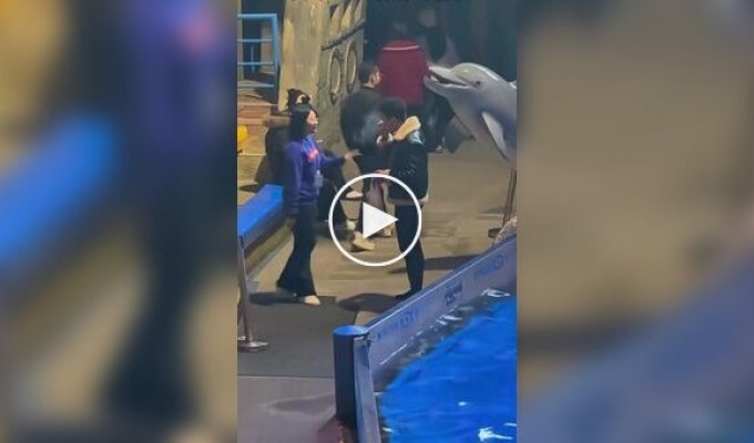 Білуха загасила цигарку курця в Китаї