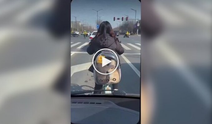 В тесноте, да не в обиде