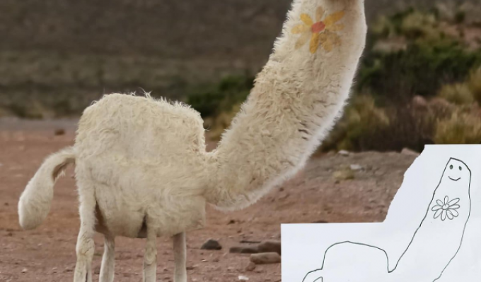 If animals looked the same as in children's drawings (18 photos)