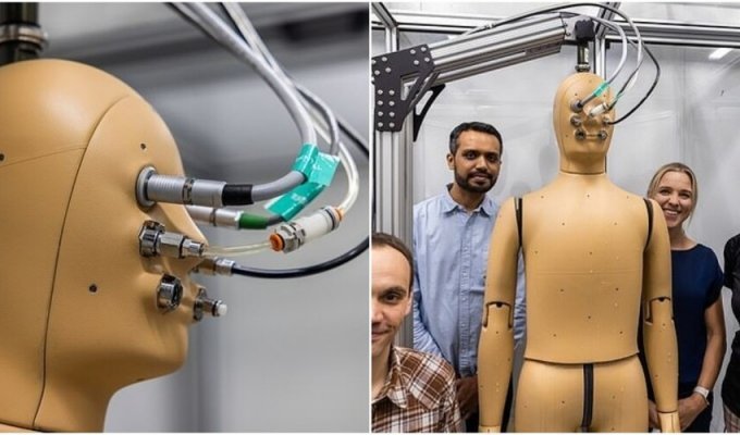 In the USA, they created a walking mannequin that breathes and sweats (5 photos + 1 video)