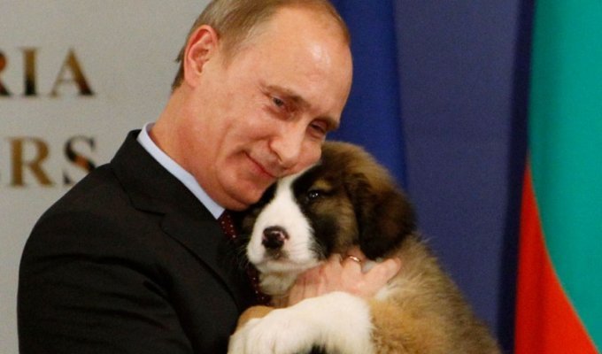 20 самых ярких фотографий президента с животными (20 фото)