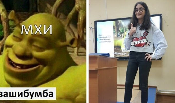 Школьница подошла к презентации по биологии слишком креативно, и вместо обычных картинок у неё мемы (15 фото)