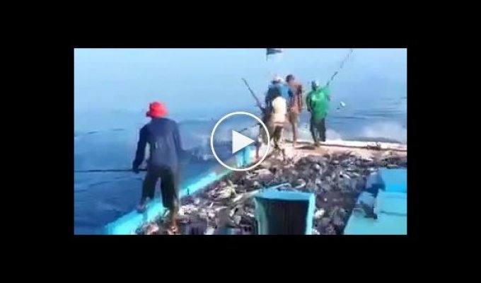 Удивительная океаническая рыбалка для ленивых