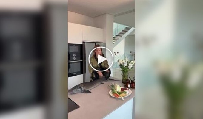 Что приготовим из рыбы