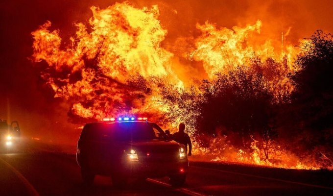 Ярость лесных пожаров на американском Западе (23 фото)