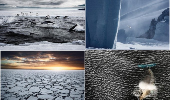 Удивительные морозные фотографии Джона Веллера (34 фото)