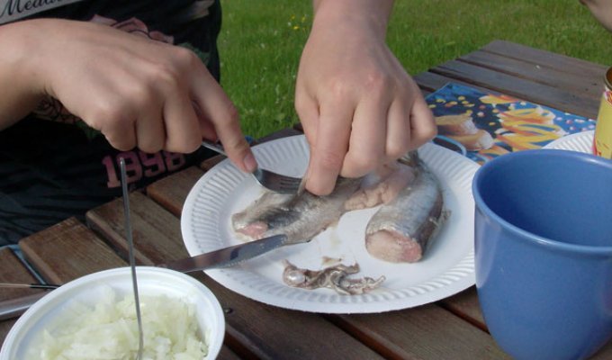 Самые необычные блюда из рыбы (7 фото)