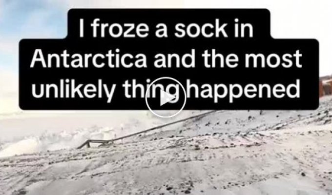 How to have fun in Antarctica