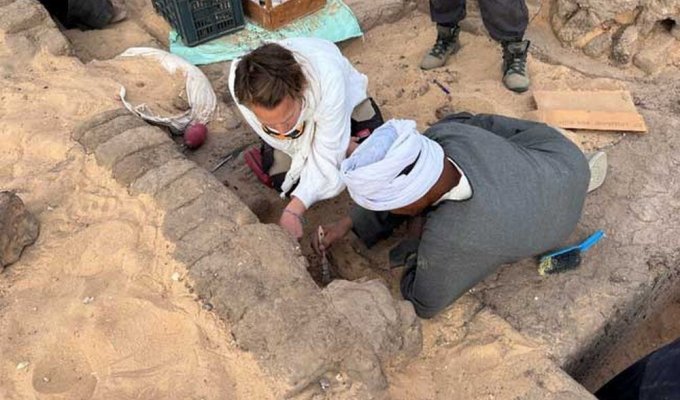 В Египте обнаружили кувшины с вином возрастом более 5 тысяч лет (2 фото)
