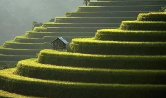 Cool pictures. Issue 3991 (28 photos)