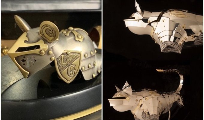 A jeweler makes unusual armor for cats and mice (16 photos + 1 video)