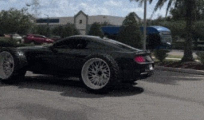 Класні гіфки. Випуск 2751 (125 гіфок)