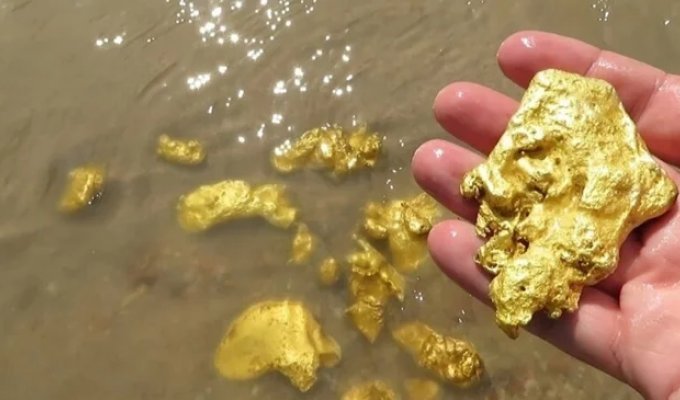 Some facts about gold (5 photos)