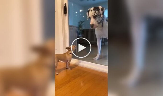 Когда ты смелый только за стеклом