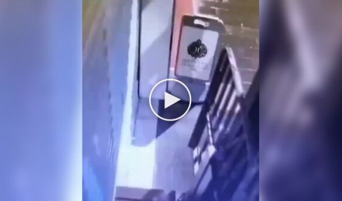 Грабитель скрылся с места преступления на осле