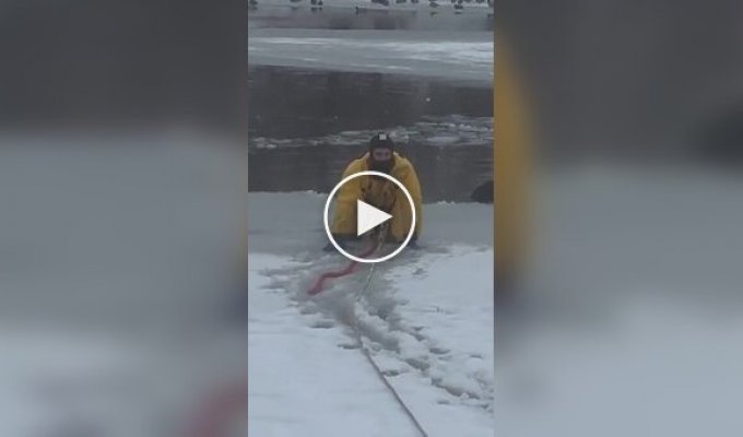 The dog tried to bite the fireman who rescued him from the pond