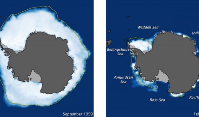 10 удивительных фактов об Антарктиде (10 фото)