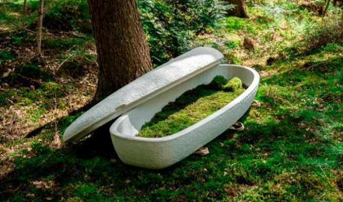 Саркофаги из грибов станут экологичной альтернативой деревянным гробам (4 фото)