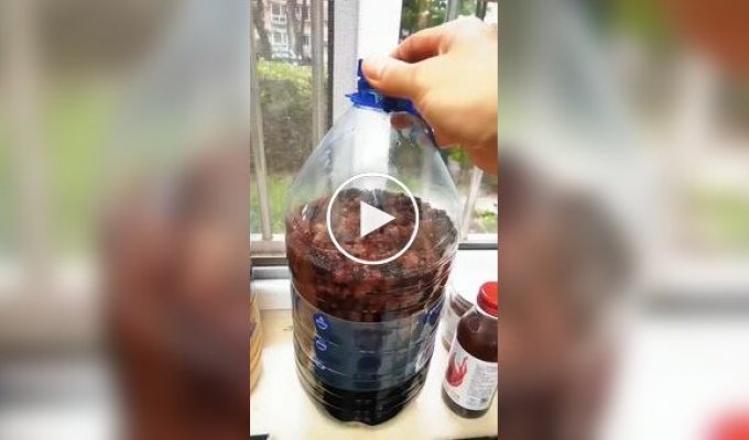 Домашнее вино устроило неожиданный фонтан на кухне