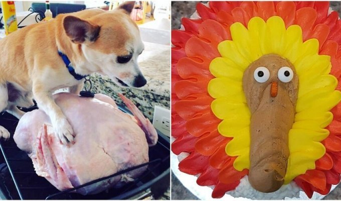 30 Epic Thanksgiving Cooking Fails (31 Photos)