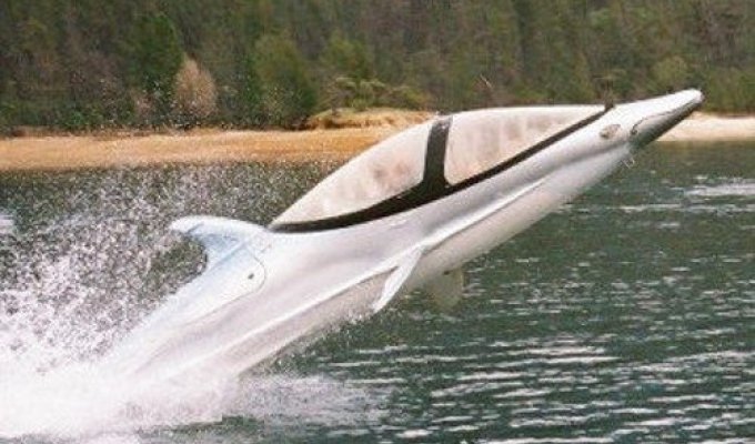 Лодка-дельфин для экстремалов