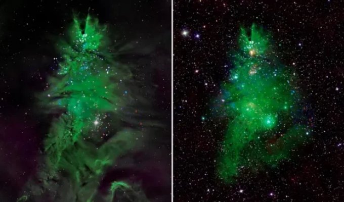 A "Christmas Tree" of Young Stars: A Stunning NASA Image (3 photos)