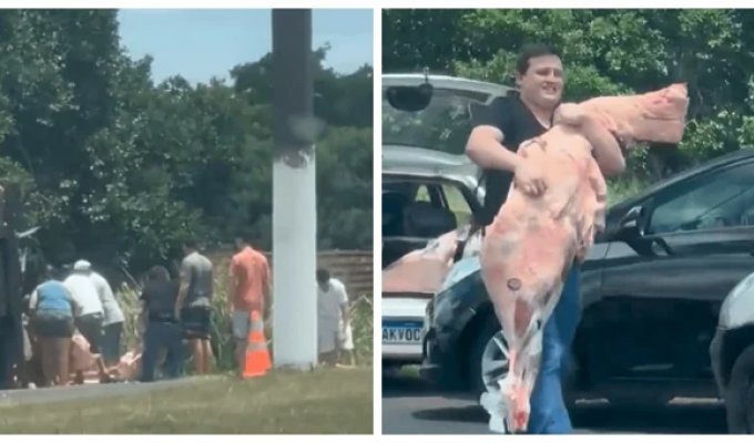 Looters Stole Five Tons of Meat from an Overturned Truck (2 photos + 1 video)