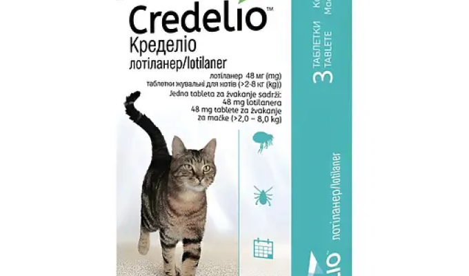Ефективні засоби боротьби з паразитами у котів