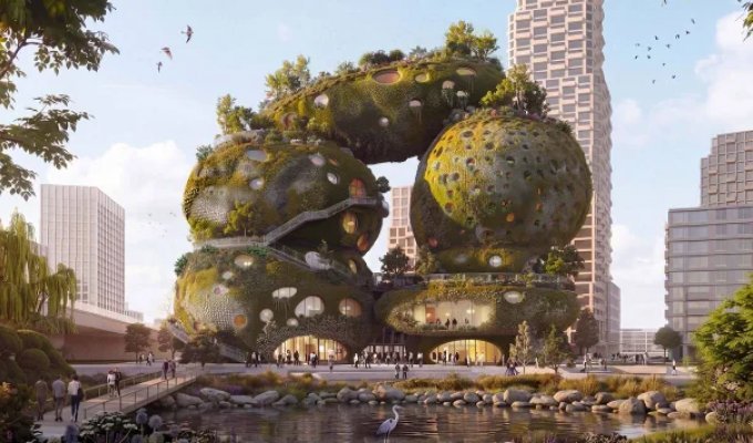 Скалы на Маасе: бюро MVRDV построит новое «чудо света» в Роттердаме (9 фото)