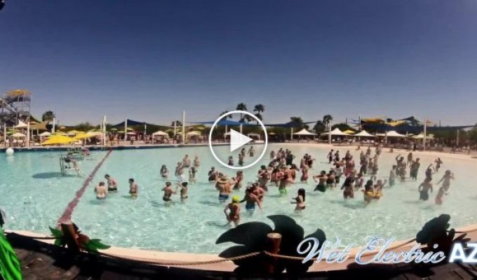 Wet Electric Phoenix Official Aftermovie 2012