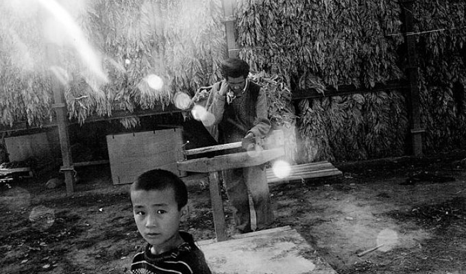 Дети на табачных плантациях Казахстана (14 фото)