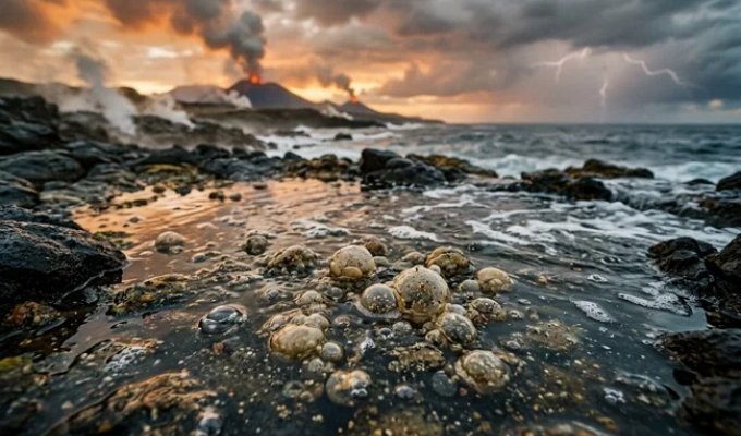 How Many Times Has Life Originated on Earth? (2 photos)