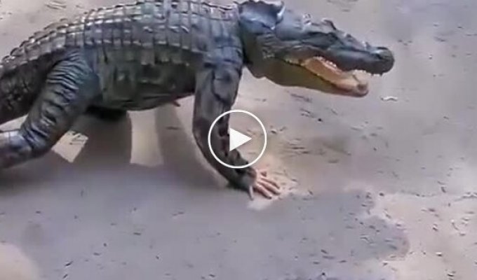 The prankster snuck up unnoticed.