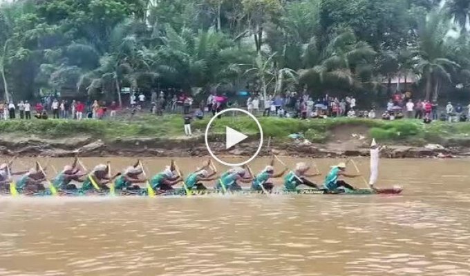 Безумный Макс в тропиках: Невероятная скорость на воде