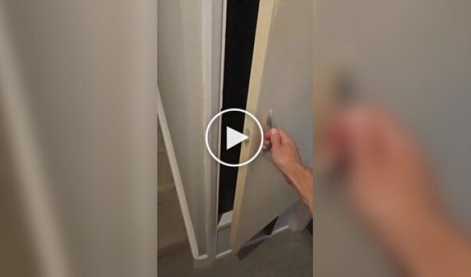 A guy made a royal toilet for his cat