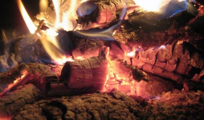 Macro photography of a fire in the garden (5 Photos)