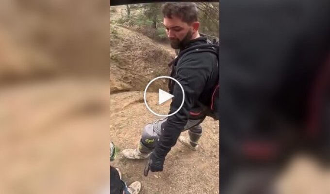 С такими друзьями врагов не нужно