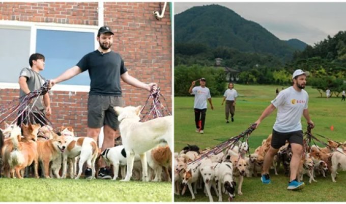 A man took 38 dogs for a walk at the same time and broke a world record (2 photos)