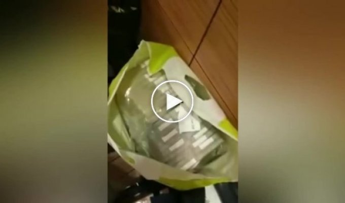 Видео обысков в квартирах полковника Кирилла Черкалина