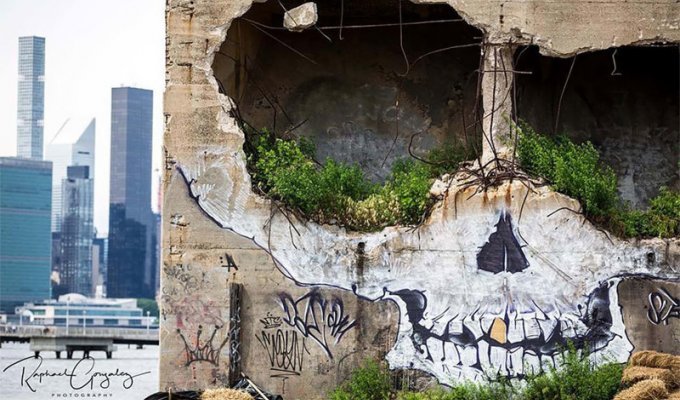 Уличный художник превратил стену заброшенного здания в гигантский череп (6 фото)