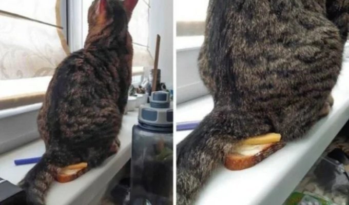 20 People Who Are Definitely Having a Worse Day Than You (21 photos)