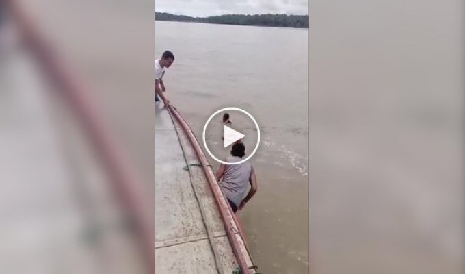 Спасение девушки из реки в Бразилии