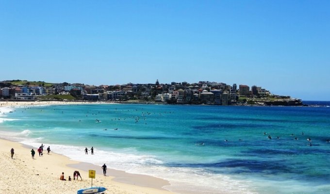 Пляж Бондай-бич в Сиднее, Австралия (8 фото)