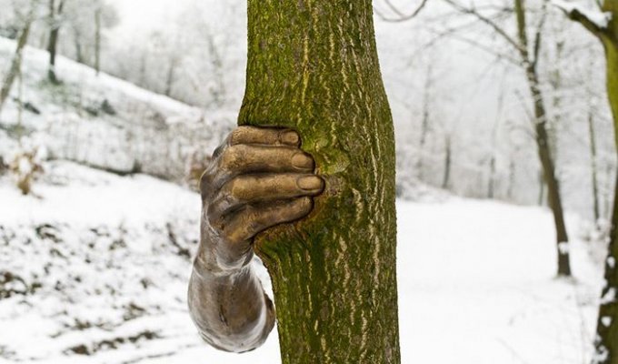 Скульптура в дереве (3 фото)