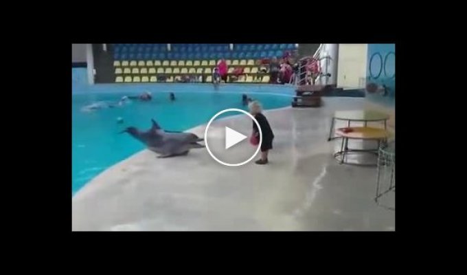 Ребенок играет с дельфином