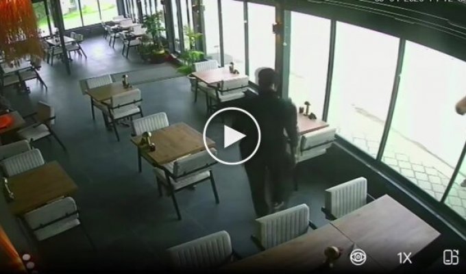 Лошади не понравилось отражение в стекле
