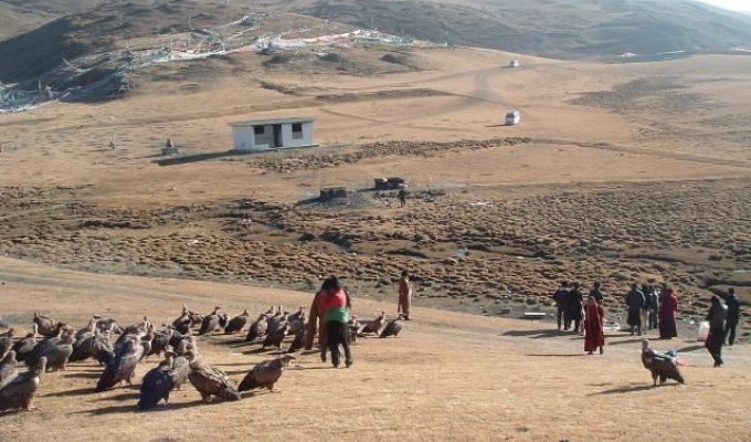 Тибетские похороны (6 фотографий)